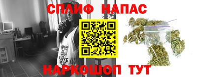 винт Тара