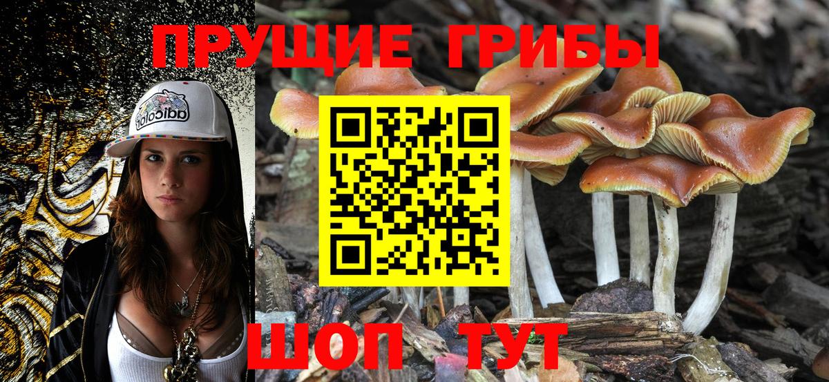 Псилоцибиновые грибы Magic Shrooms  Псилоцибиновые грибы мицелий  Вход с VPN  Алексин 